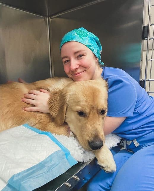 Veterinarian with a puppy