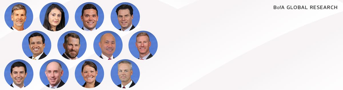 Team of analysts